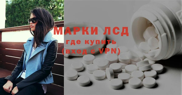 шишки Белоозёрский