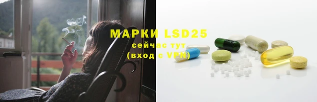 шишки Белоозёрский