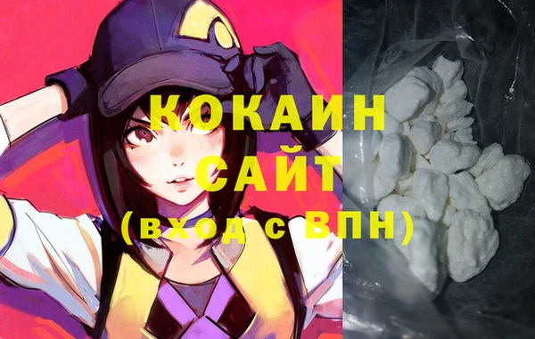 шишки Белоозёрский