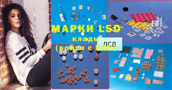 шишки Белоозёрский