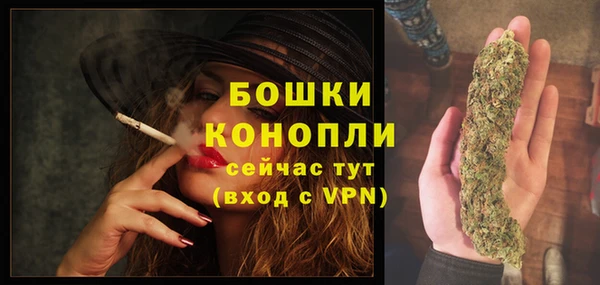 шишки Белоозёрский