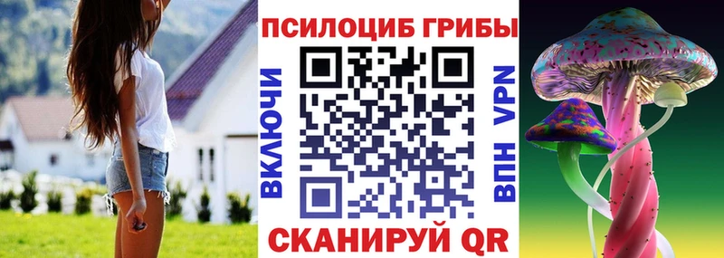 Псилоцибиновые грибы мицелий  Купить где  Гулькевичи 