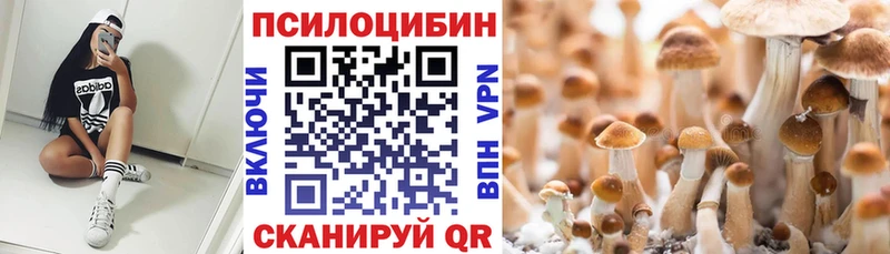 Галлюциногенные грибы Magic Shrooms Гулькевичи